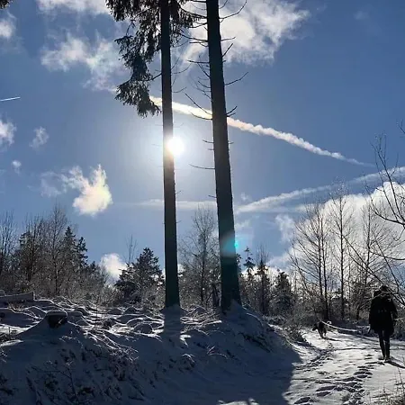 Bergnest * Winterberg