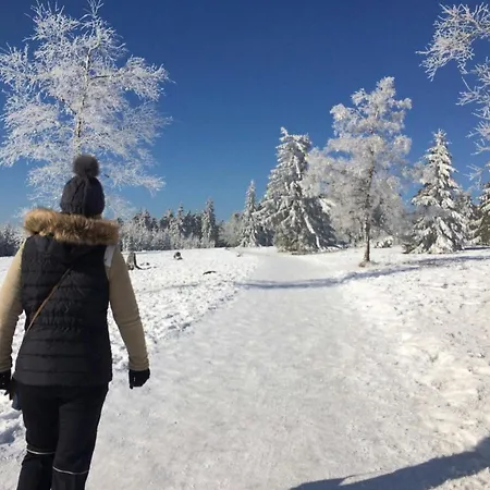 Bergnest Apartment Winterberg